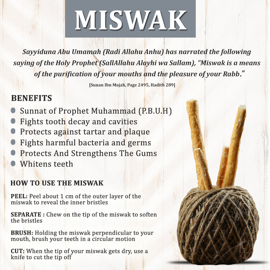 Peelu Miswak 6 Inch